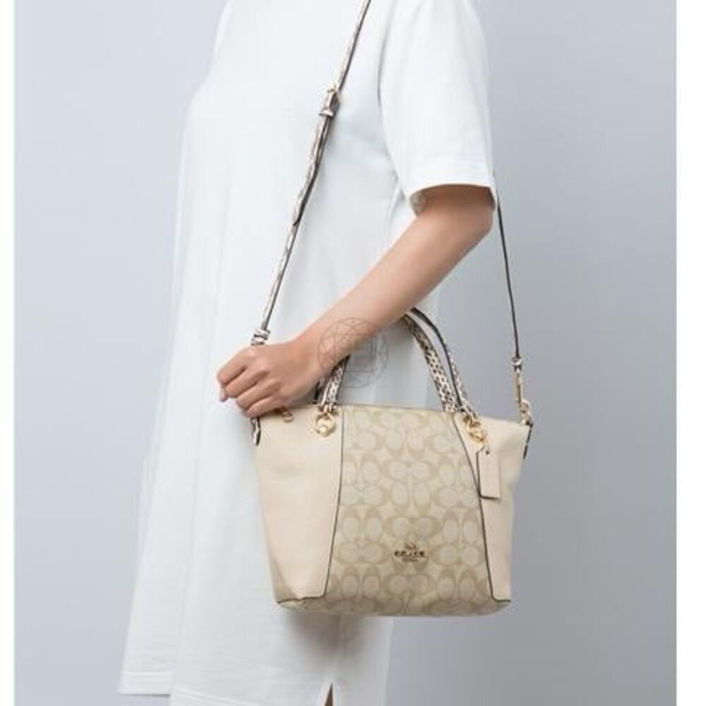 Coach C7261 Kacey Signature Canvas Snake Colorblock Handles Satchel Crossbody